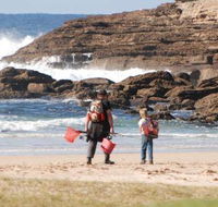 Merry Beach Caravan Resort - eAccommodation