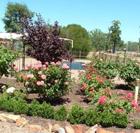 Newell Motor Inn - eAccommodation