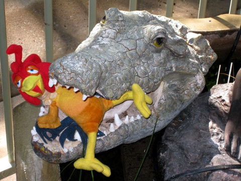 Palmerston Sunset Retreat - eAccommodation 1