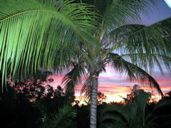 Palmerston Sunset Retreat - eAccommodation 4