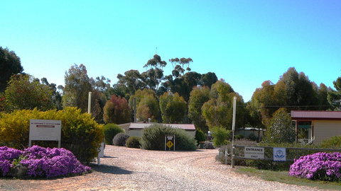 Gladstone Caravan Park - eAccommodation 6