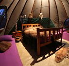 Aranyani Bison Adventure Tourist Park - eAccommodation