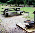 Bellbird campground - eAccommodation