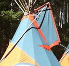 Central Coast Eco Tours - eAccommodation