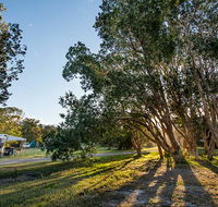 Delicate campground - eAccommodation