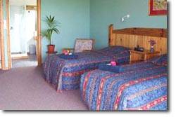 Trade Winds Country Cottages - eAccommodation 1