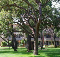 Trinity - eAccommodation