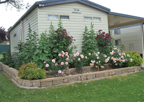 Walcha Caravan Park - eAccommodation 3