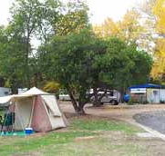 Wedderburn Pioneer Caravan Park - eAccommodation