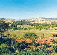 Pecan Hill Bed and Breakfast - eAccommodation
