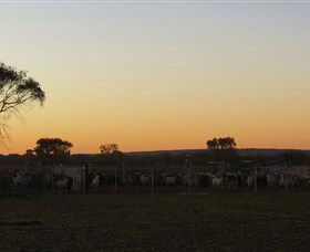 Goodwood Stationstay - eAccommodation 1