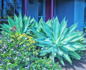 Possum Creek Eco Lodge - eAccommodation 1
