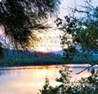 Tweed Coast Holiday Parks Hastings Point - eAccommodation