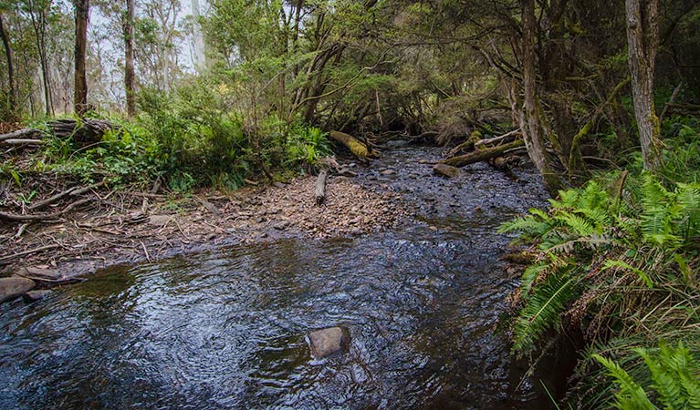 Moonan Brook NSW eAccommodation