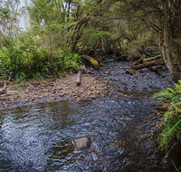 Horse Swamp campground - eAccommodation