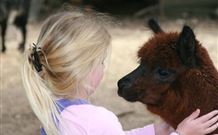 Kangaroo Valley Glenmack Park - eAccommodation 1