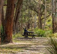 Koreelah Creek campground - eAccommodation