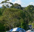 Milton Valley Holiday Park - eAccommodation