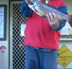 Rainbow Pines Tourist Caravan Park - eAccommodation