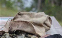 The Escape Luxury Camping - eAccommodation 1