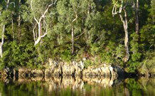 The Escape Luxury Camping - eAccommodation 5