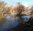 Warrawong on the Darling - eAccommodation