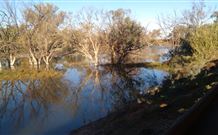 Warrawong On The Darling - eAccommodation 0