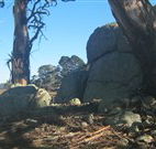 Warreen Farmstay Rural Accommodation - eAccommodation
