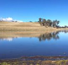 Bombala Maneroo Motel - Bombala - eAccommodation