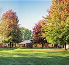 Laurel Hill Forest Lodge - Tumbarumba - eAccommodation