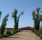 Newell Motor Inn - Narrandera - eAccommodation