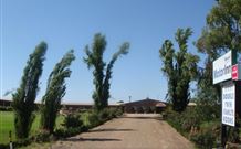Newell Motor Inn - Narrandera - eAccommodation 0