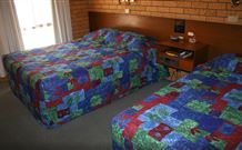Newell Motor Inn - Narrandera - eAccommodation 1