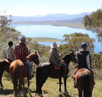 Reynella Homestead and Horseback Rides - eAccommodation