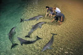 Moreton Island QLD eAccommodation