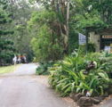 Tamborine Mountain Caravan  Camping - eAccommodation