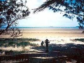 Midge Point QLD eAccommodation