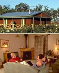 Twin Trees Country Cottages - eAccommodation 0