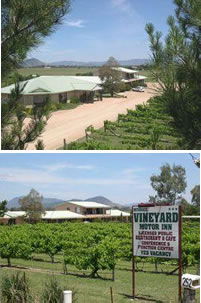 Mudgee Vineyard Motor Inn - eAccommodation 0