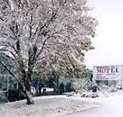 Maneroo Motel - eAccommodation