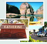 Red Gum Tourist Park - eAccommodation