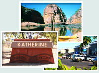 Red Gum Tourist Park - eAccommodation 0