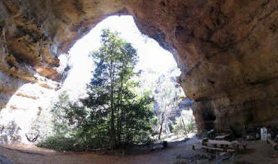 Bell NSW eAccommodation