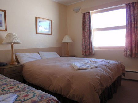 Swagman Chalet - eAccommodation 4
