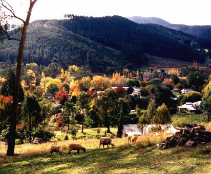 Goldfields Holiday Units - eAccommodation 1