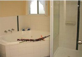 White Albatross Holiday Park - eAccommodation 3