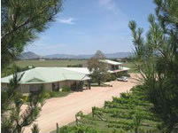 Mudgee Vineyard Motor Inn - eAccommodation 1