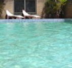 Toreador Motel - Coffs Harbour - eAccommodation