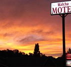 Walcha Motel - Walcha - eAccommodation