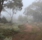 Heritage Park Bathurst - eAccommodation